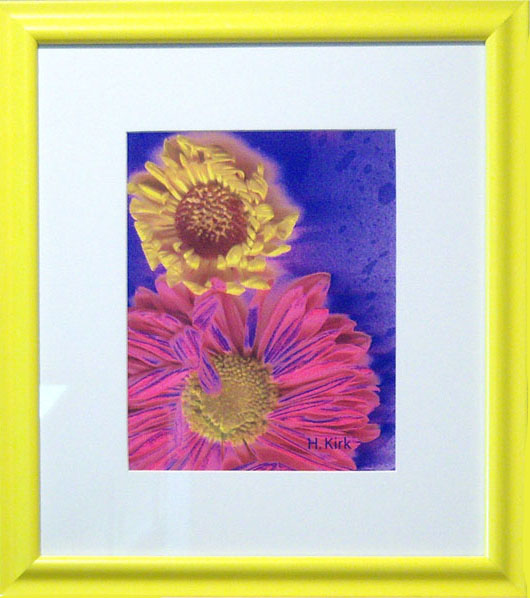 Pink and Yellow Digital Daisy - Photo and Digital art, image 10 x 8, matted and framed to 16 x 13